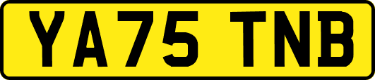 YA75TNB