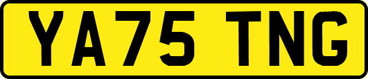 YA75TNG