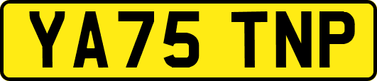 YA75TNP