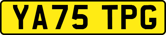 YA75TPG