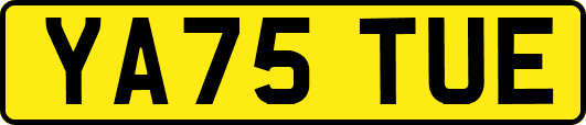 YA75TUE