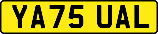 YA75UAL