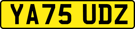 YA75UDZ
