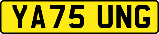 YA75UNG