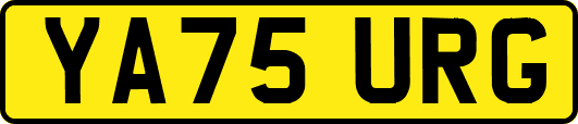YA75URG