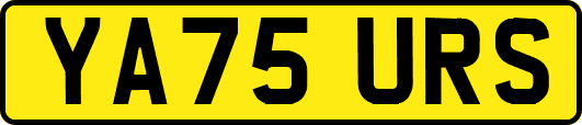 YA75URS