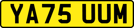 YA75UUM