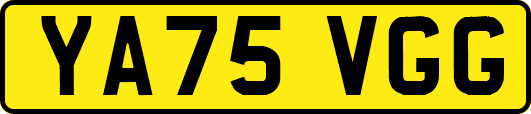 YA75VGG
