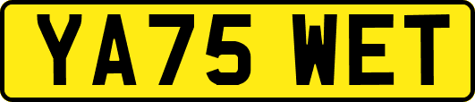 YA75WET