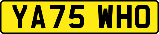 YA75WHO