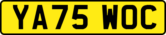 YA75WOC