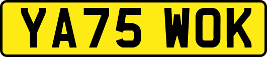 YA75WOK