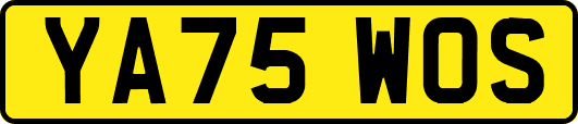 YA75WOS