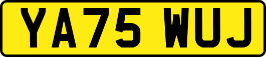 YA75WUJ
