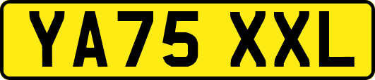 YA75XXL