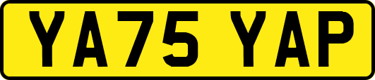 YA75YAP