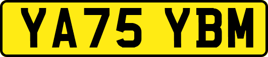 YA75YBM