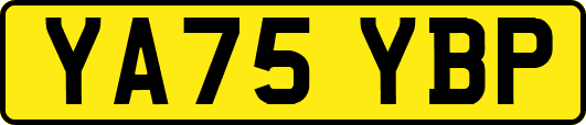 YA75YBP