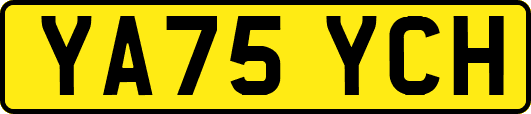 YA75YCH