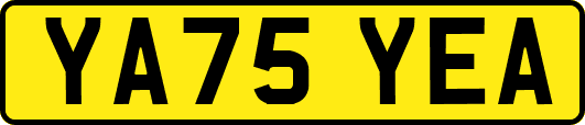YA75YEA