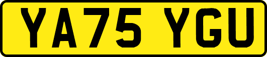 YA75YGU