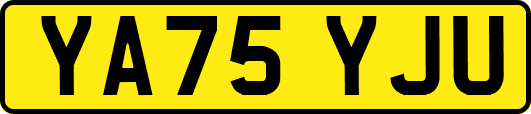 YA75YJU