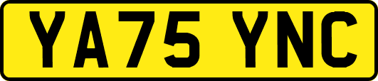 YA75YNC
