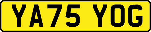 YA75YOG