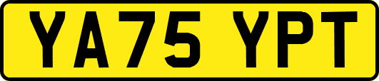 YA75YPT