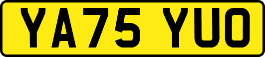 YA75YUO