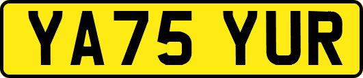 YA75YUR