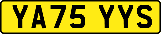 YA75YYS