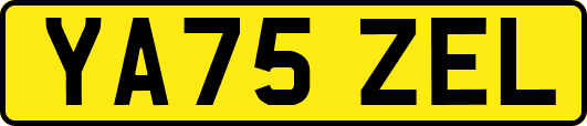 YA75ZEL