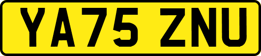 YA75ZNU