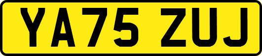 YA75ZUJ