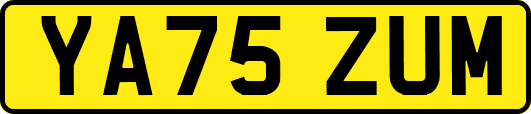 YA75ZUM