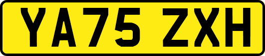 YA75ZXH