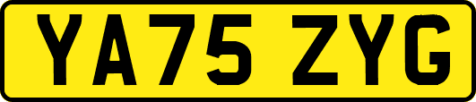 YA75ZYG