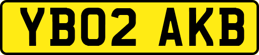 YB02AKB