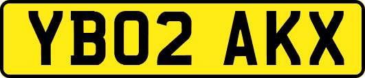 YB02AKX