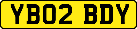 YB02BDY