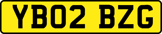 YB02BZG