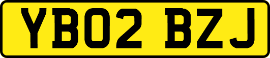 YB02BZJ