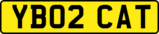 YB02CAT