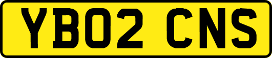 YB02CNS