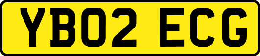 YB02ECG