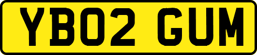 YB02GUM