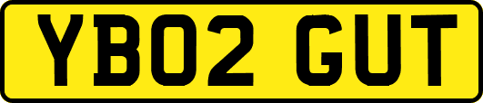 YB02GUT