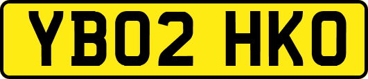 YB02HKO