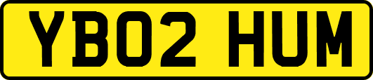 YB02HUM